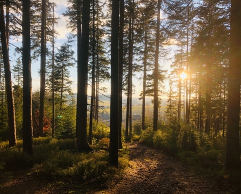 Schwarzwald